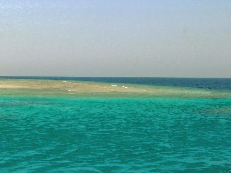 SAFAGA