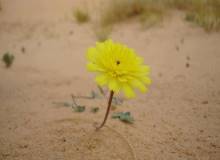 Le vacanze per famiglie a Pasqua