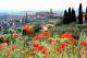 TOSCANA