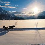 CAPODANNO SUL TRENO DEL BERNINA 2 NOTTI
