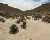 TREKKING IN MAROCCO FESTIVAL DELLE ROSE