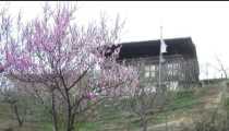 thimpu (WxH) - casa bhutanese