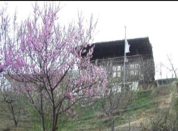 Scarica versione non compressa thimpu (WxH)