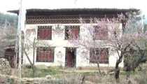 paro (WxH) - casa locale