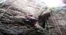 Arrampicare  (480Wx640H) - Eccomi in arrampicata in Brasile a Lencois.
Visitate il mio sito http://www.marosomarco.eu