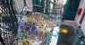 casa battlo (WxH) - casa battlo