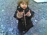 Scarica versione non compressa viva i sassolini (WxH)