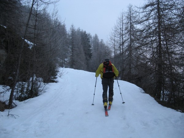 Scarica versione non compressa Partenza (WxH)