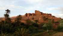 marocco (WxH) - marocco