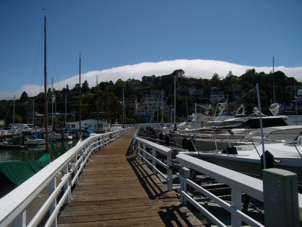 Scarica versione non compressa san francisco (1000Wx750H)