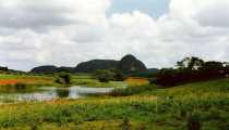 vin4 (WxH) - vinales