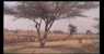x Bikaner (WxH) - paesaggio