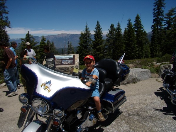 Scarica versione non compressa sequoia (1000Wx750H)
