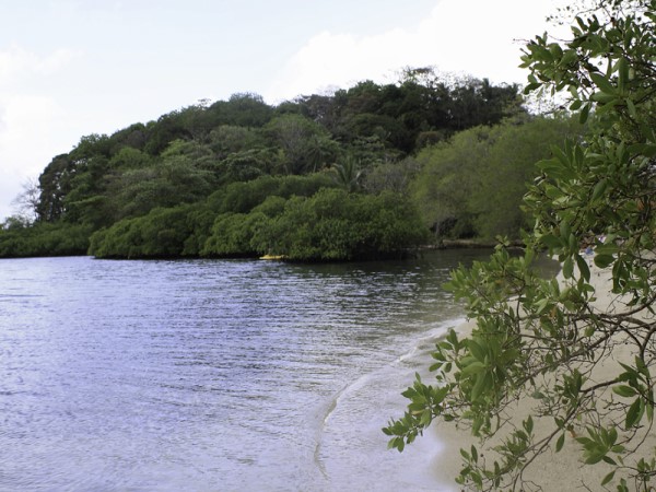 Scarica versione non compressa isola (WxH)