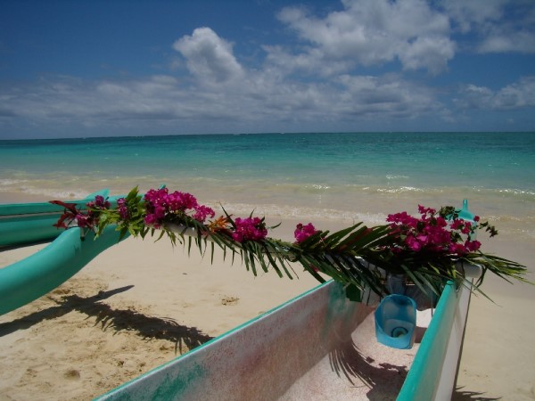 Scarica versione non compressa hawaii (1000Wx750H)