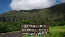 hawaii (1000Wx750H) - hawaii