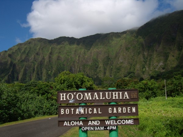 Scarica versione non compressa hawaii (1000Wx750H)