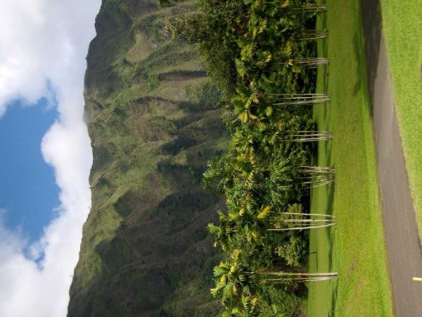 Scarica versione non compressa hawaii (1000Wx750H)