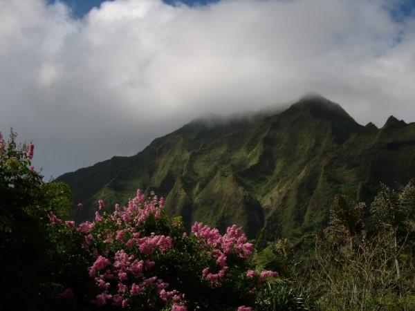 Scarica versione non compressa hawaii (1000Wx750H)