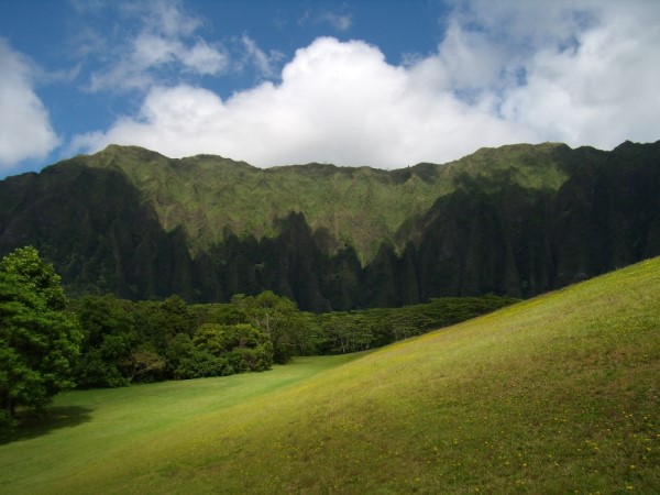 Scarica versione non compressa hawaii (1000Wx750H)