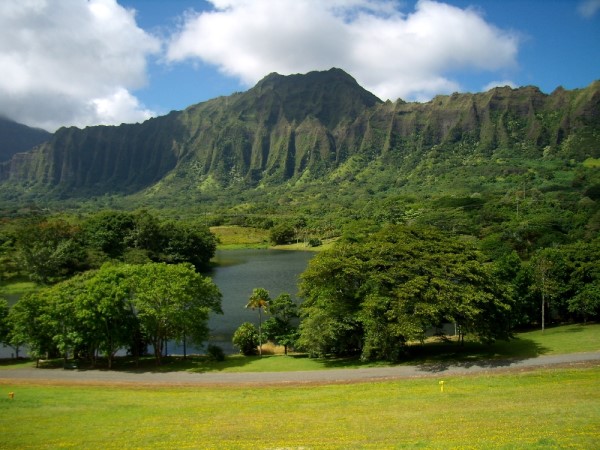 Scarica versione non compressa hawaii (1000Wx750H)
