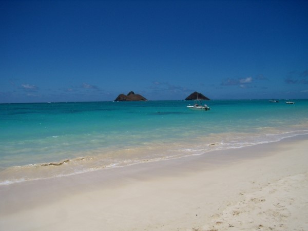 Scarica versione non compressa hawaii (1000Wx750H)