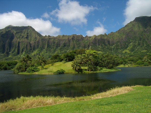 Scarica versione non compressa hawaii (1000Wx750H)