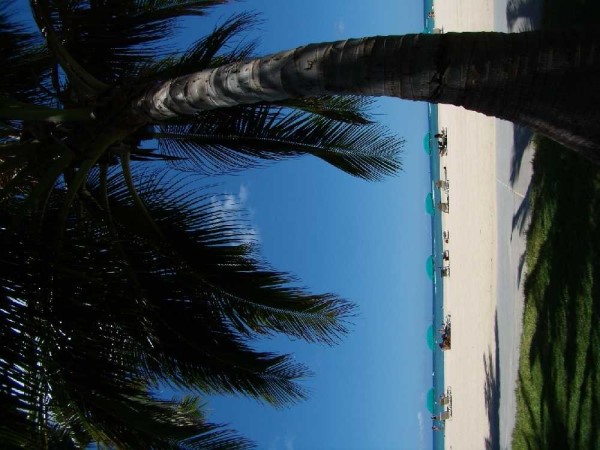 Scarica versione non compressa hawaii (1000Wx750H)