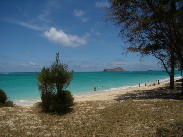 Scarica versione non compressa hawaii (1000Wx750H)