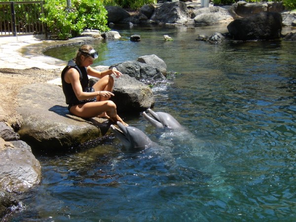 Scarica versione non compressa hawaii (1000Wx750H)