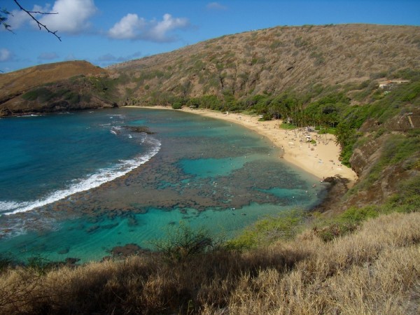 Scarica versione non compressa hawaii (1000Wx750H)
