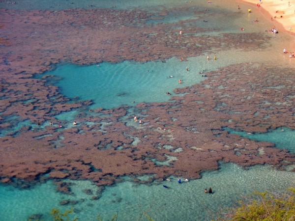 Scarica versione non compressa hawaii (1000Wx750H)