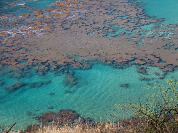 Scarica versione non compressa hawaii (1000Wx750H)