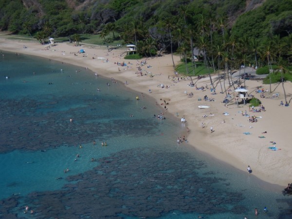 Scarica versione non compressa hawaii (1000Wx750H)