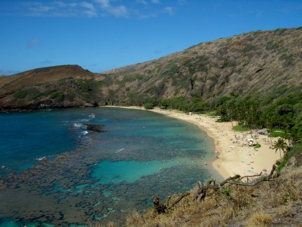 Scarica versione non compressa hawaii (1000Wx750H)