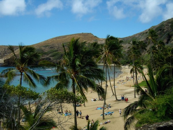 Scarica versione non compressa hawaii (1000Wx750H)
