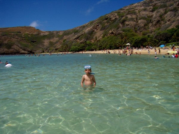 Scarica versione non compressa hawaii (1000Wx750H)