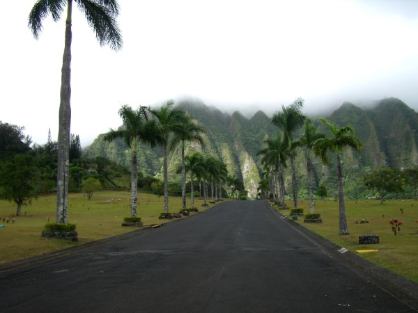 Scarica versione non compressa hawaii (1000Wx750H)