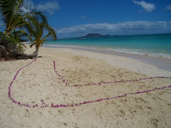 Scarica versione non compressa hawaii (1000Wx750H)