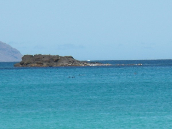 Scarica versione non compressa hawaii (1000Wx750H)