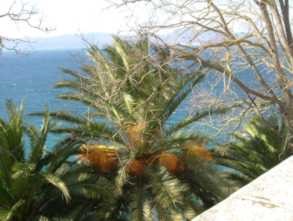 Scarica versione non compressa Paesaggio (293Wx221H)