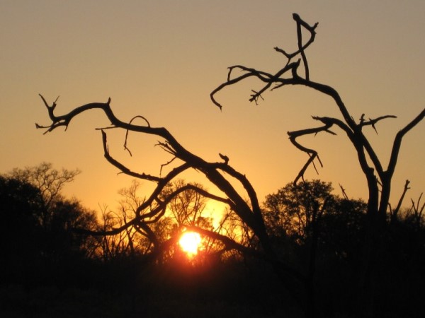Scarica versione non compressa Tramonto (WxH)