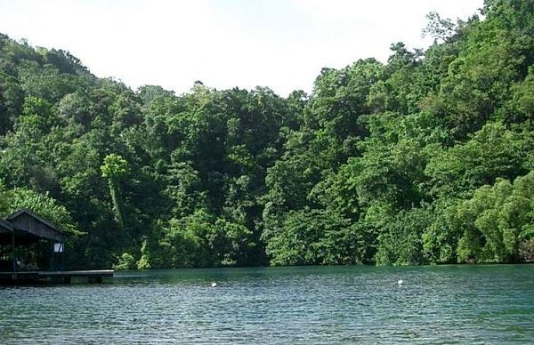 Scarica versione non compressa port antonio (WxH)