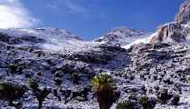 mount kenya snow (WxH) - f