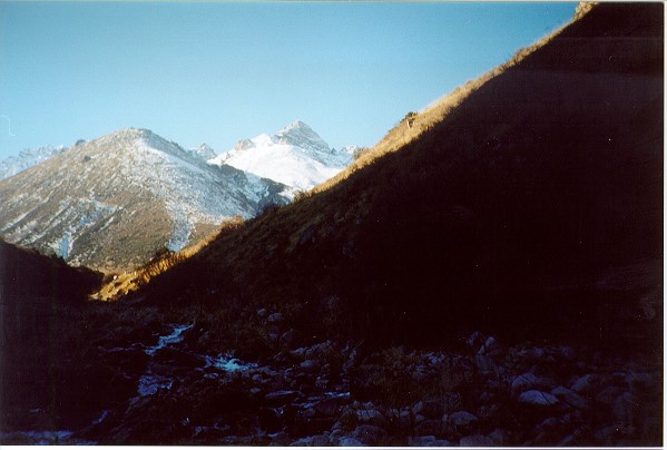 Scarica versione non compressa 5 (WxH)