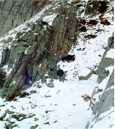 Scarica versione non compressa 13 (WxH)