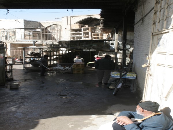 Scarica versione non compressa 6 (WxH)