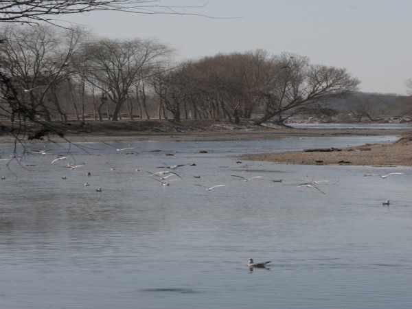 Scarica versione non compressa 57 (WxH)