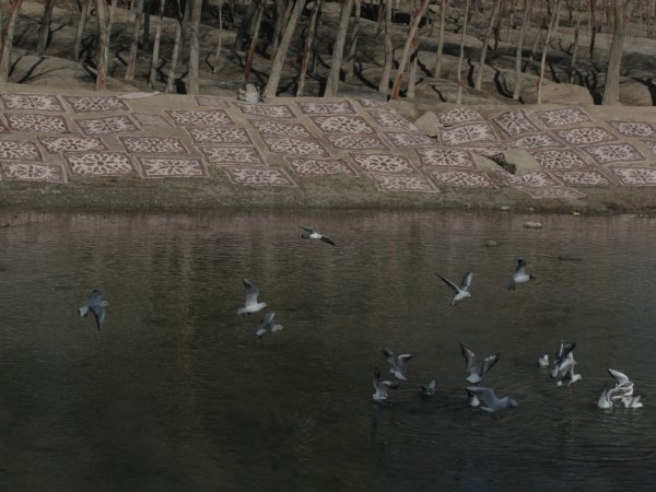 Scarica versione non compressa 60 (WxH)