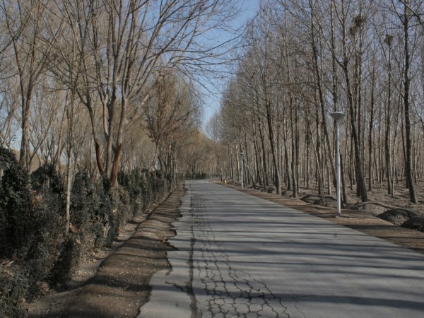 Scarica versione non compressa 62 (WxH)